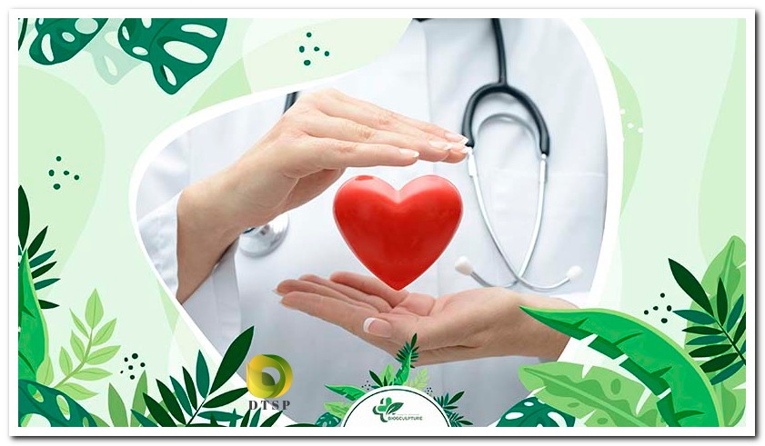 Cardiovascular Health Support