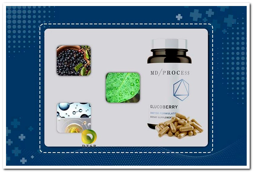 GlucoBerry Ingredients