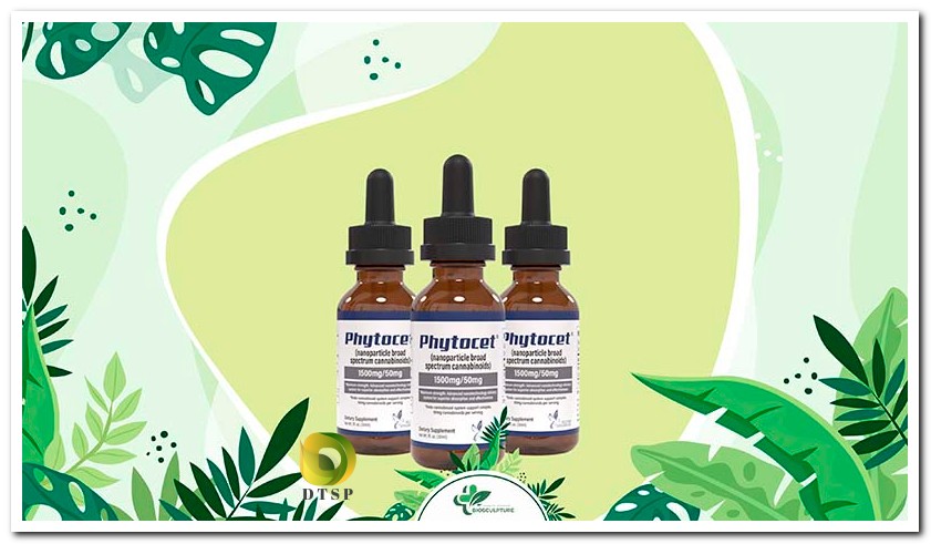 Phytocet CBD Oil